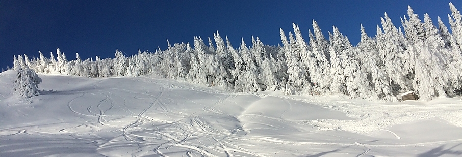 ski scene