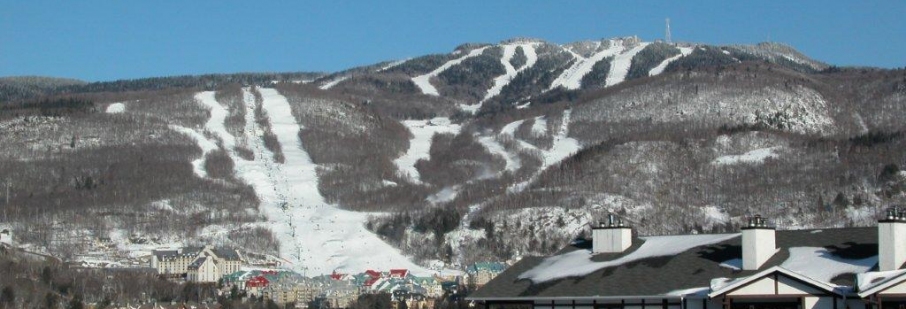Pinoteau-hiver